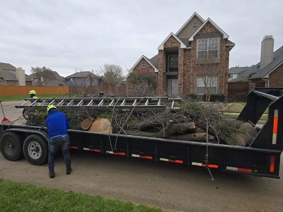 Expert Crown Reduction with proper safety equipment in Alum Creek